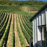 Hotel Zur Traube