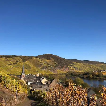Hotel Zur Traube 4*