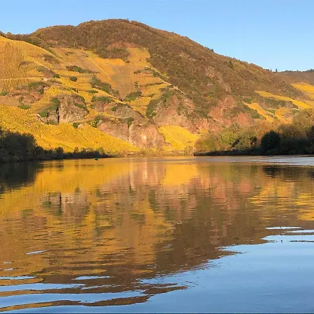 酒店 祖尔陶伯酒店 乌尔齐希
