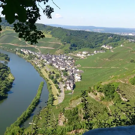 Zur Traube 호텔