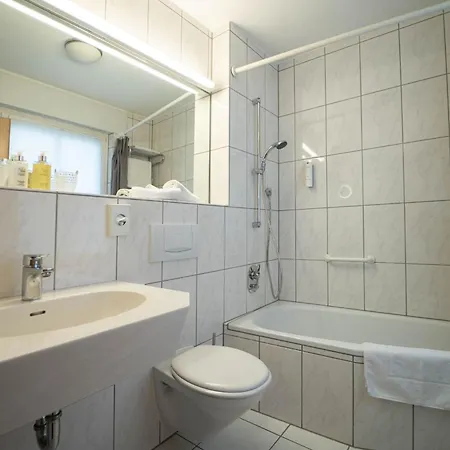 酒店 祖尔陶伯酒店 乌尔齐希