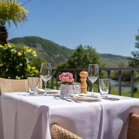 Hotel Hotel Zur Traube Uerzig