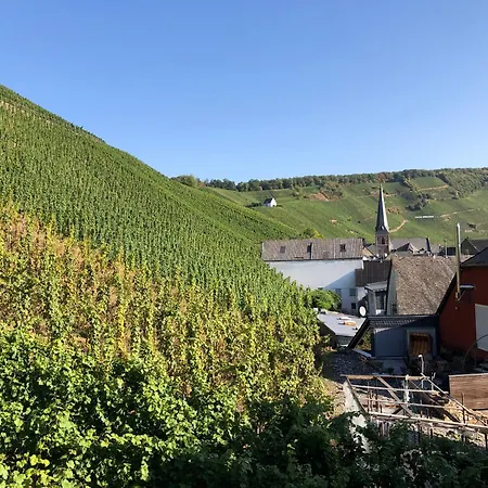 Zur Traube Hotel