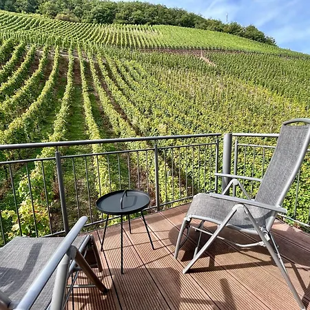 祖尔陶伯酒店 酒店 乌尔齐希