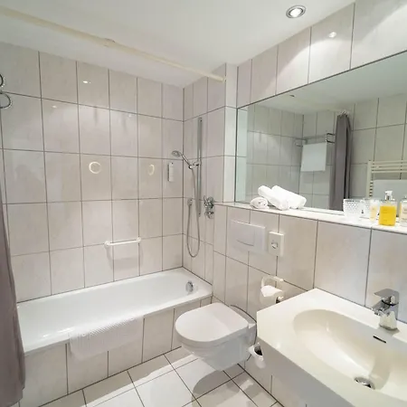 Zur Traube 호텔 4*