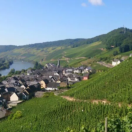 Hotel Zur Traube Hotel 4*