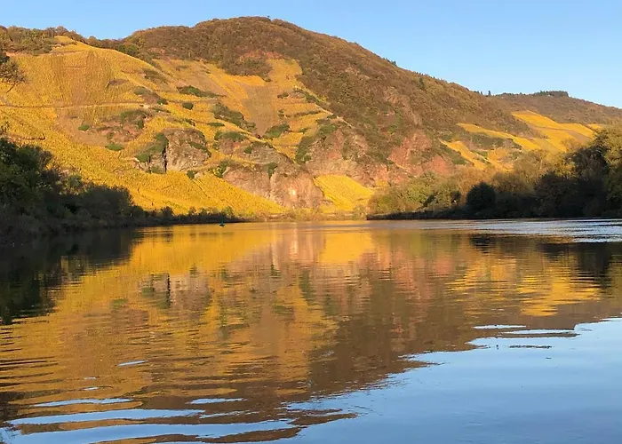 מלון Zur Traube Ürzig