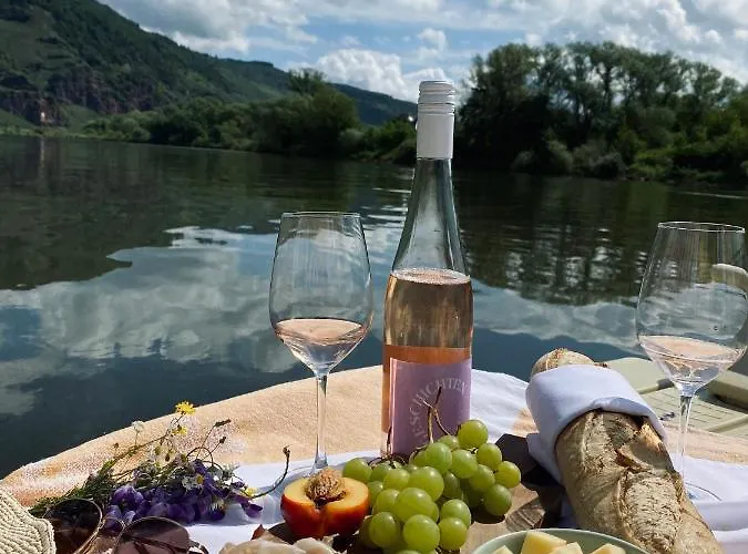 Hotel Zur Traube Hotel Uerzig