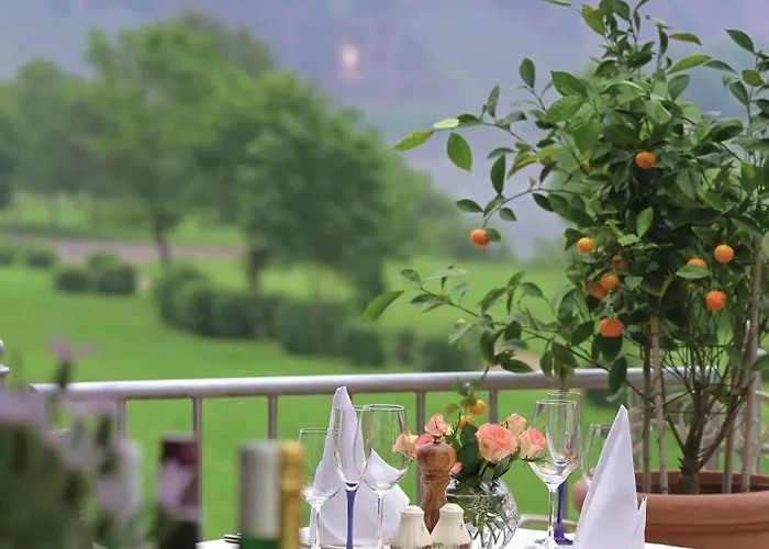 Hotel Hotel Zur Traube 4*