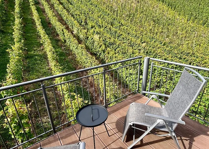 Hotel Hotel Zur Traube 4*