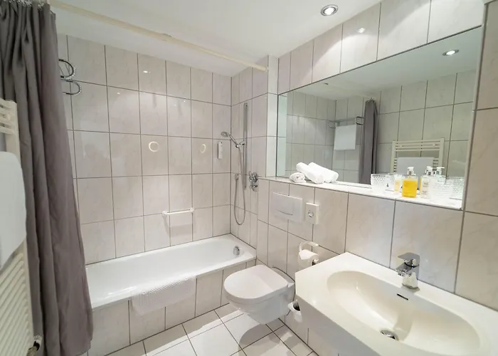 Hotel Zur Traube Hotel 4*