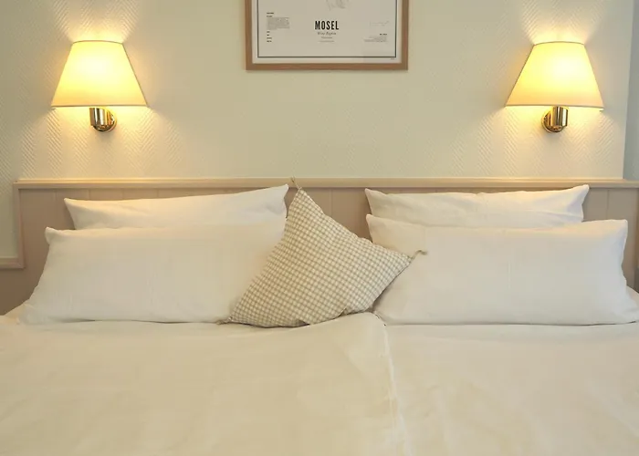 Hotel Hotel Zur Traube