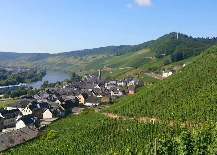 Hotel Zur Traube Hotel 4*